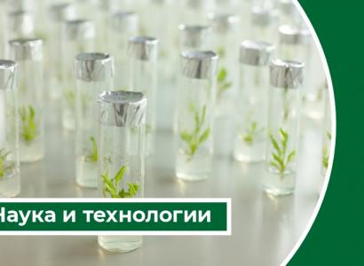 Дайджест «Наука и технологии»: в России проводится эксперимент по цифровизации перевозок зерна
